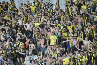 Rio de Janeiro, Brezilya, 23 Ekim 2024. Botafogo Pearol maçında Nilton Santos Stadyumu 'nda düzenlenen Libertadores Conmebol 2024 maçında Pearol taraftarları.
