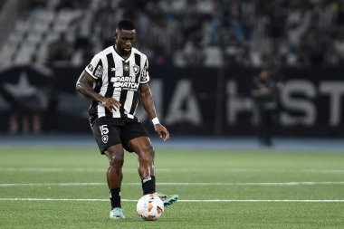 Rio de Janeiro, Brezilya, 23 Ekim 2024. Botafogo ile Pearol arasındaki futbol maçı, Libertadores Conmebol 2024, Nilton Santos Stadyumu 'nda yapıldı..