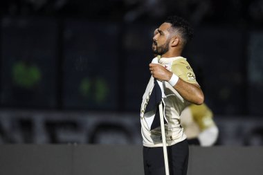 Rio de Janeiro, Brezilya, 28 Ekim 2024. 2024 Brezilya Şampiyonası 'nda Vasco ile Bahia arasındaki futbol maçı Sao Januario Stadyumu' nda oynanacak..