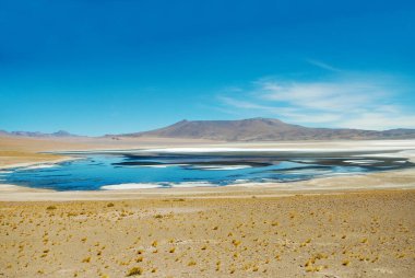 San Pedro de Atacama, Şili, 15 Aralık 2024. Salar ve Loyoques gölü, Atakama Çölü 'ndeki tuz düzlüklerinin rotasında..