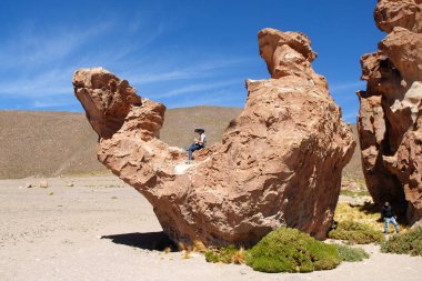 Potosi, Bolivya, 17 Aralık 2024. Siloli Çölü 'ndeki Deve Taşı..