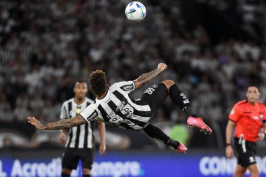 Rio de Janeiro, Brezilya, 28 Şubat 2025. Botafogo ile Racing du Racing arasındaki futbol maçı Recopa 2025 finalinde, Nlton Santos Stadyumu 'nda. ...