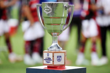 Rio de Janeiro, Brezilya, 22 Nisan 2025. 2025 Guanabara Kupası kupası, Maracan Stadyumu 'ndaki Carioca Şampiyonası için Flamengo-Maric maçından önce sergilendi..