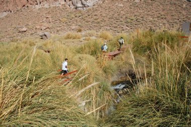 San Pedro de Atacama, Şili. 13 Aralık 2024 Termas Puritama. Atacama Çölü 'ndeki sıcak suların vahası.