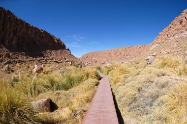 San Pedro de Atacama, Şili. 13 Aralık 2024 Termas Puritama. Atacama Çölü 'ndeki sıcak suların vahası.