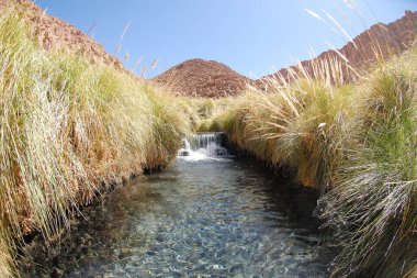 San Pedro de Atacama, Şili. 13 Aralık 2024 Termas Puritama. Atacama Çölü 'ndeki sıcak suların vahası.