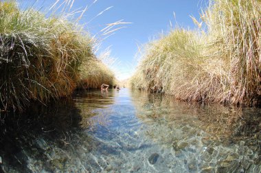 San Pedro de Atacama, Şili. 13 Aralık 2024 Termas Puritama. Atacama Çölü 'ndeki sıcak suların vahası.