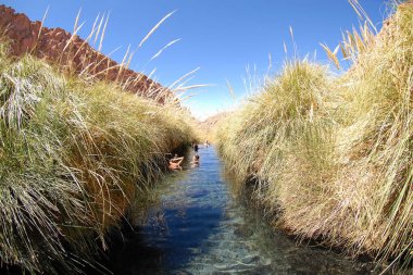 San Pedro de Atacama, Şili. 13 Aralık 2024 Termas Puritama. Atacama Çölü 'ndeki sıcak suların vahası.