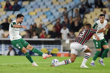Rio de Janeiro, Brezilya, 23 Temmuz 2025. Fluminense ve Palmeiras takımları arasındaki futbol maçı, 2025 Brezilya Şampiyonası için, Maracana Stadyumu 'nda.