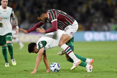 Rio de Janeiro, Brezilya, 23 Temmuz 2025. Fluminense ve Palmeiras takımları arasındaki futbol maçı, 2025 Brezilya Şampiyonası için, Maracana Stadyumu 'nda.