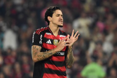 Rio de Janeiro, Brezilya, 25 Ağustos 2025. Flamengo takımından futbolcu Pedro, Maracan Stadyumu 'nda Vitria takımına karşı oynanan maçta...