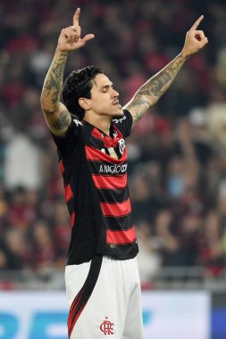 Rio de Janeiro, Brezilya, 25 Ağustos 2025. Flamengo takımından futbolcu Pedro, Maracan Stadyumu 'nda Vitria takımına karşı oynanan maçta...