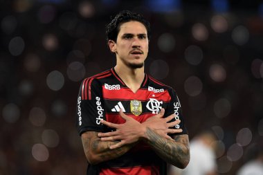 Rio de Janeiro, Brezilya, 25 Ağustos 2025. Flamengo takımından futbolcu Pedro, Maracan Stadyumu 'nda Vitria takımına karşı oynanan maçta...