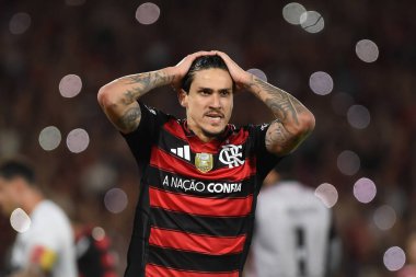 Rio de Janeiro, Brezilya, 25 Ağustos 2025. Flamengo takımından futbolcu Pedro, Maracan Stadyumu 'nda Vitria takımına karşı oynanan maçta...