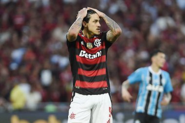 Rio de Janeiro, Brezilya, 31 Ağustos 2025. 2025 Brezilya Şampiyonası 'nda Flamengo Grmio' ya karşı Maracana Stadyumu 'nda oynanan futbol maçı..