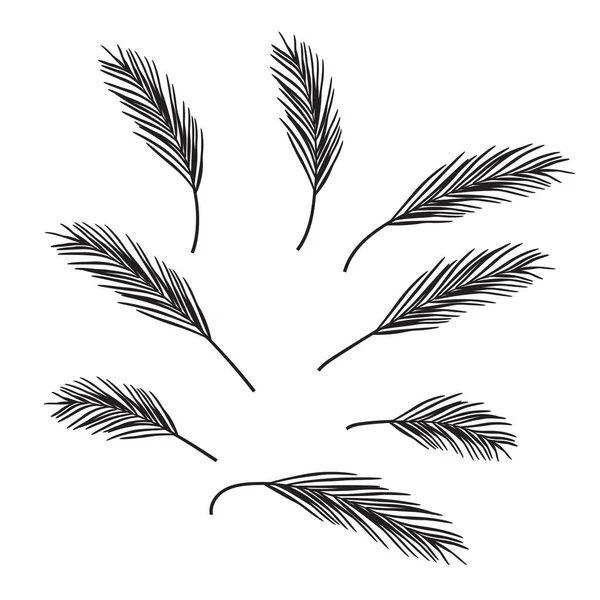 Aiguilles Pin Branches Noires Élément Design Illustration Vectorielle Spe — Image vectorielle