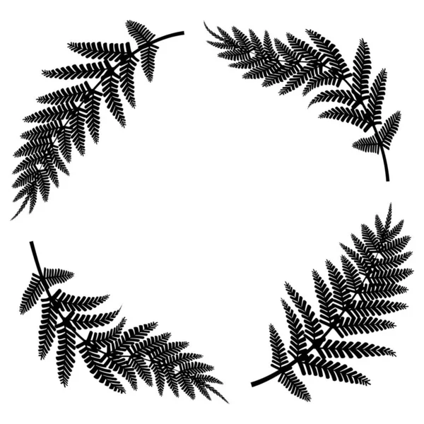 Fougère Des Branches Noires Dessin Contour Illustration Vectorielle Spe — Image vectorielle
