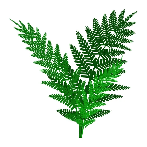 Fougère Verte Grand Design Pour Tous Les Usages Illustration Vectorielle — Image vectorielle