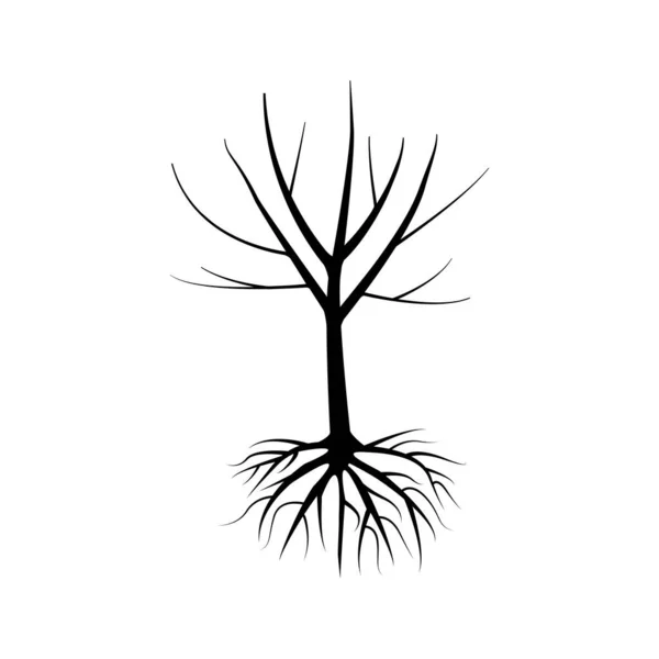 Kökleri Olan Bir Ağaç Meşe Ağacı Vektör Çizimi Eps — Stok Vektör