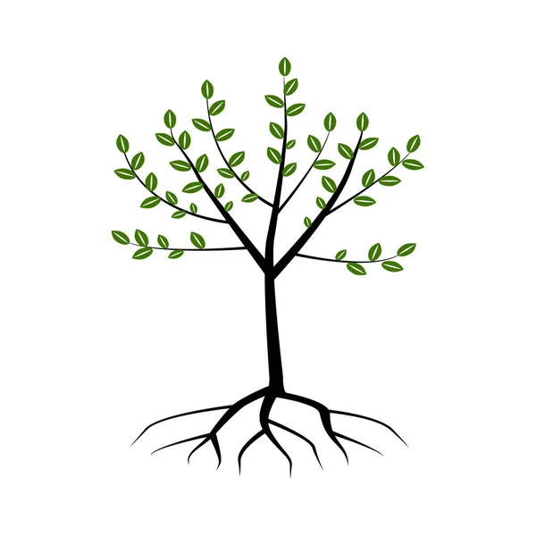 根のある木 オークの木 ベクトルイラスト Eps — ストックベクタ