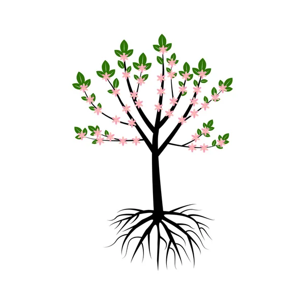 Дерево Корнями Дуб Векторная Иллюстрация Eps — стоковый вектор