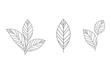 Yapraklar soyut biçimde siyahtır. Tasarım elemanı. Vektör çizimi. EPS 10.