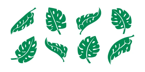 Зелене Листя Літня Відпустка Літній Фон Весняний Квітковий Візерунок Векторні — стоковий вектор