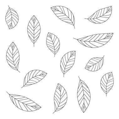 Yapraklar soyut biçimde siyahtır. Tasarım elemanı. Vektör çizimi. EPS 10.