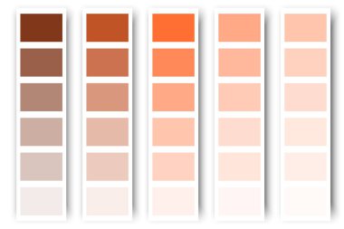 Turuncu renk paleti. Vektör çizimi. Stok görüntüsü. EPS 10.