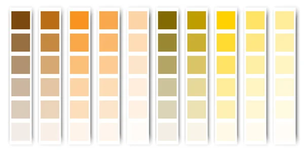Orange Color Palette Orange Brown Tone Vector Illustration Stock Image — Stock Vector