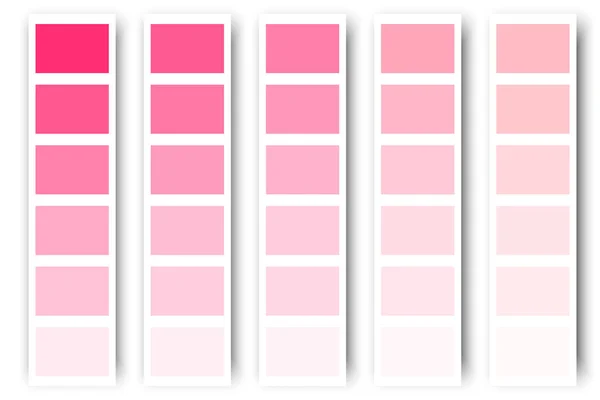 Tavolozza Dei Colori Rosa Texture Rosa Pastello Illustrazione Vettoriale Immagine — Vettoriale Stock
