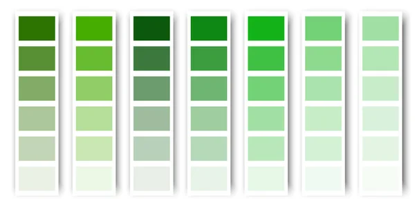 Paleta Cores Verdes Textura Tom Pastel Verde Ilustração Vetorial Imagem —  Vetores de Stock