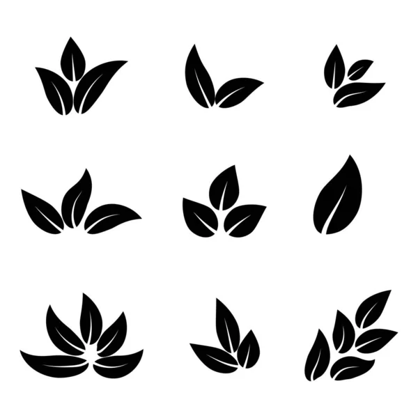 Blätter Werden Isoliert Gesetzt Blätter Symbol Verschiedene Formen Vektorillustration Eps — Stockvektor