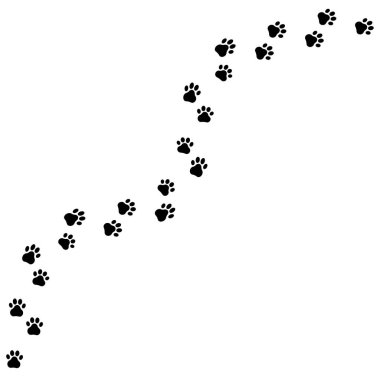 Hayvan pençesi izleri. Kıvrımlı izler. Hayvan yürüyüşü yolu. Minimalist siyah tasarım. Vektör çizimi. EPS 10. Resim yükle.