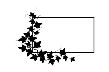 Zarif sarmaşık çerçevesi. Siyah siluet yapraklar. Minimalist sınır tasarımı. Vektör sanatı. EPS 10.
