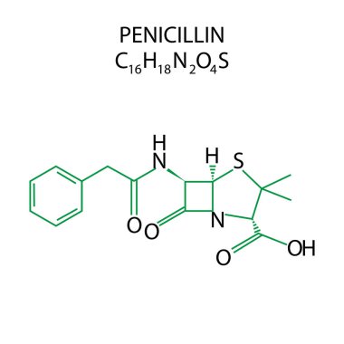Penisilin formülü şeması. Kimyasal yapı bileşimi. Moleküler biyoloji skeci. Vektör bilimsel çizelgesi. EPS 10.