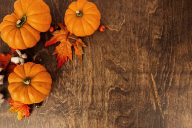 Kırsal ahşap bir zemin üzerinde fotokopi alanı olan kahverengi soyut bir zemin üzerinde minyatür turuncu balkabağı sırasının üst görüntüsü.