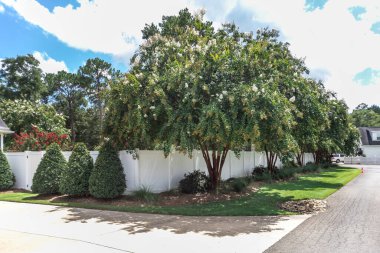 Close up image of a a landscaped tree and shrubs around a white pvc fence enclosing a large backyard.