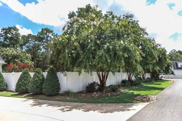 Close up image of a a landscaped tree and shrubs around a white pvc fence enclosing a large backyard.