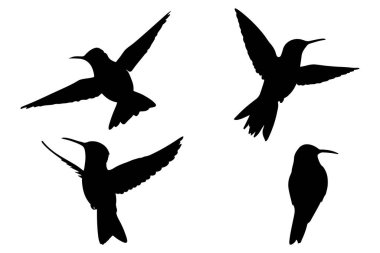 Sinek Kuşu Silueti Simgesi Uçan Kuşların Vektör Resmini Ayarla