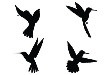 Sinek Kuşu Kara Siluet Koleksiyonu Hayvan Simgesi Vektörü Ayarları