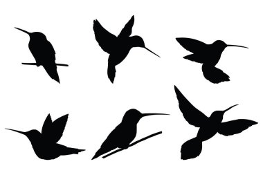 Sinekkuşu Vektör Simgeleri Siyah Siluet Uçan Kuş Tasarımı Ayarladı
