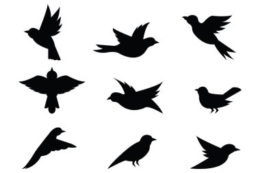 Siluet Kuş Koleksiyon Vektör Uçan ve Tünemiş Kuşlar Kümesi Beyaz Arkaplanda İzole Edildi