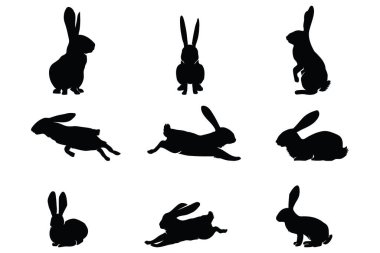 Paskalya Tavşanı Silueti Oturan Koşan Zıplayan ve Duran Tavşanlarla Beyaz Arkaplanda