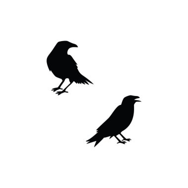 Cadılar Bayramı Cadısı ve Karga Silueti Vektör Ürkütücü İzole Tasarım Şablonu Tatil Dekorasyonları ve Temalı Projeler için Beyaz Arkaplan