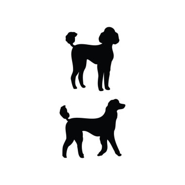 Zarif Fransız Kaniş Siluet Vektör Seti Evcil Hayvan ve Moda Teması İçin İkonik Köpek Pozları