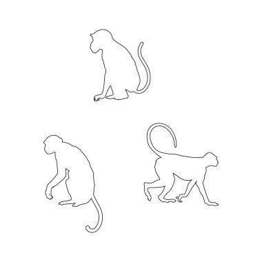 Beyaz Arkaplanda El Çizimi Yarasa Çizimi Vektör Seti İzole edilmiş Taslak Maymun Koleksiyonu