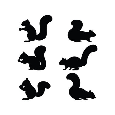 Beyaz Arkaplanda Siyah Sincap Siluet Vektör Seti Oturarak Sıçrayan ve Ayakta Duran Logo Duruşları Kesme Dosyaları ve Yazdırma Tasarımları