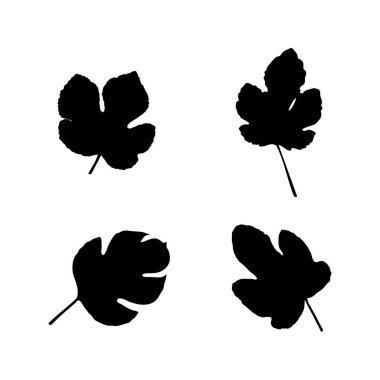 Beyaz Arkaplanda Grafik ve Dekoratif Kullanım İçin İncir Yaprakları Düz Çizim Tasarımı Vektörü