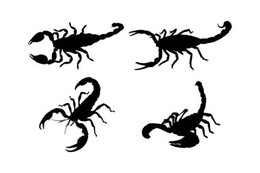 Siyah Akrep Silueti Yürüyen Akrep Vektör Resimleri Beyaz Arkaplanda İzole Edildi